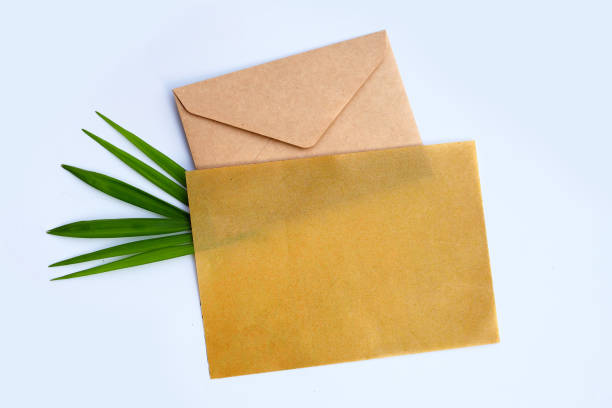 istock Envelope with blank paper on palm leaves on white background. 1393088349