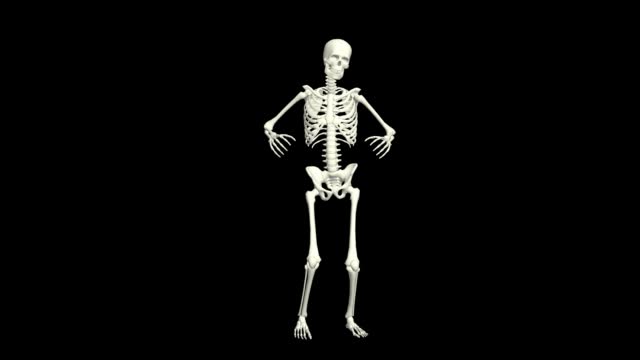 Skeleton Dancing 3D animation