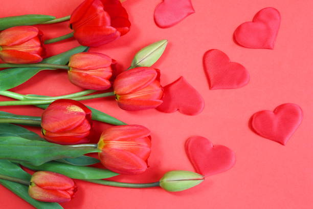 Composition of flowers. A heart of red-burgundy flowers on a pastel-salad-colored background. The concept of Valentine's Day, Mother's Day, Women's Day. Flat position, top view.