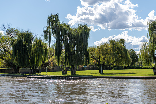 View of The Vaal River showing the nature beauty on its shores