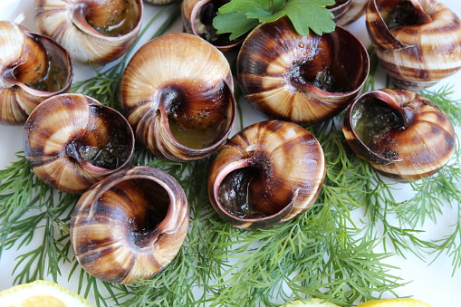 Cooked grape snails in a plate with herbs