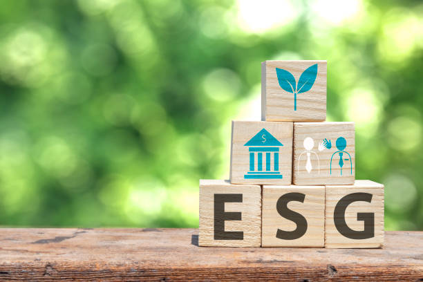 istock Social and environmental responsibility for sustainable development,ESG concept, good governance Environment for social sustainability,wooden box image with esg icon on wooden floor and blurry leaf background 1393092418