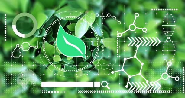 istock Using biomass and chemistry to conserve nature,nature conservation concept,Balanced use of biomass 1393092600
