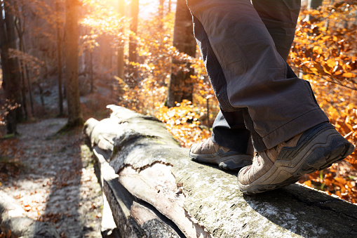 hiking boots close-up. girl tourist steps on a log\
