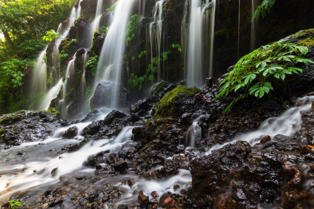 istock Beautiful Banyu Wana Amertha is located in Wanagiri, Buleleng Bali 1393094781