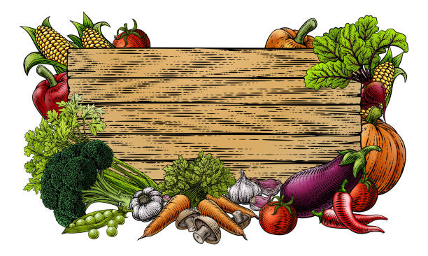 A fresh vegetables garden produce border background sign in a retro vintage engraved woodcut style
