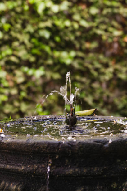 istock Fountain in a patio (courtyard) in Cordoba, Spain 1393117504