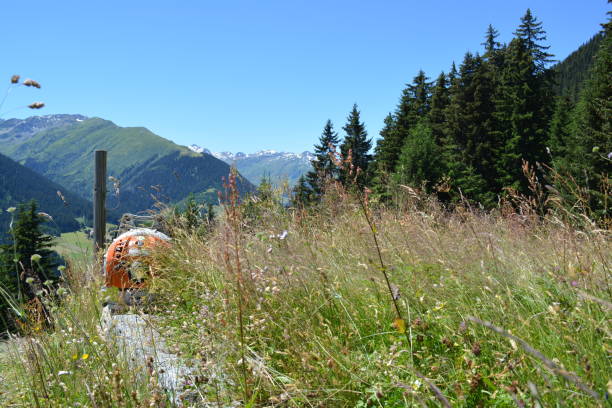 summer agriculture swiss alps