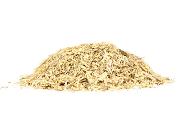 istock The Dried Siberian Ginseng Roots 1393120352