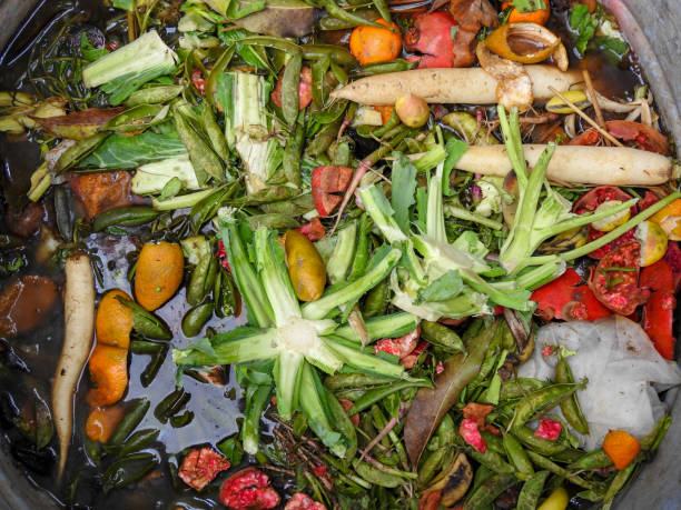 istock Making organic fertilizer from kitchen waste and vegetable waste. 1393120833