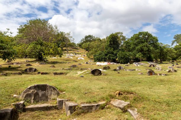 Alaçatı, Turkey - July 24, 2025: A general view of the historic graveyard at Hacı Memiş Mosque in Alaçatı. The Ottoman-era cemetery includes multiple old tombstones shaded by trees and surrounded by traditional stone walls and local houses.