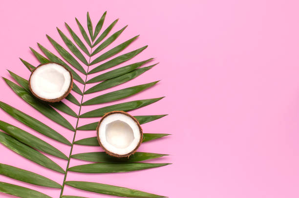 istock Tropical leaves and fresh coconut on pink background. Flat lay, top view, copy space. Summer background, nature. Healthy cooking. Creative healthy food concept, half of coconut 1393124867