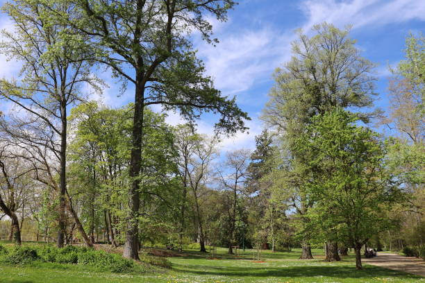 istock Vichy - Parc Napoleon III 1393132205