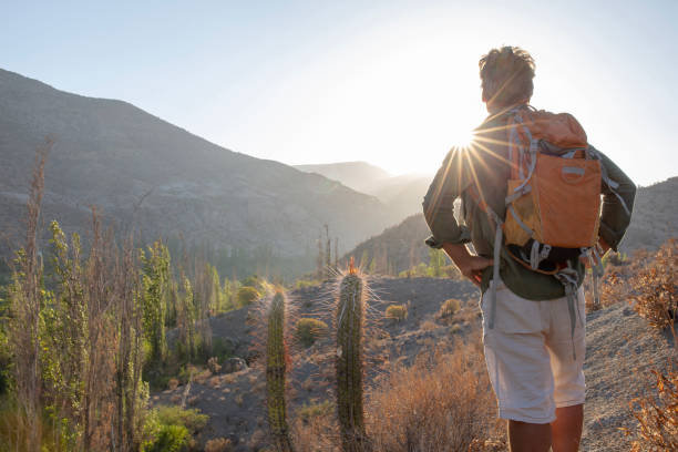 istock Hiker explores mountain desert at sunrise 1393141660