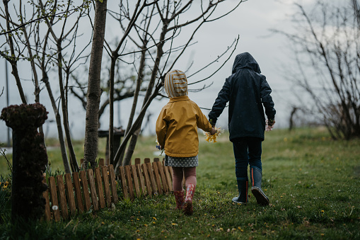 Two kids, brother and his little sister walking on a meadow and holding hands, they picked flowers on a rainy day outdoors.
