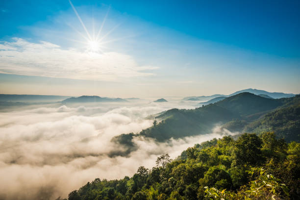 istock Sunrise and the mist in winter morning 1393148411