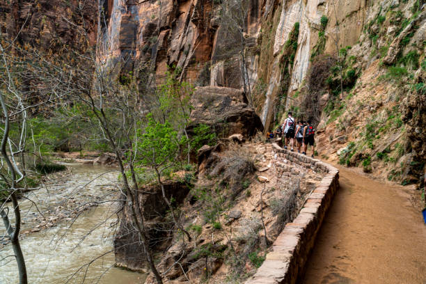 zion national park on a spring day