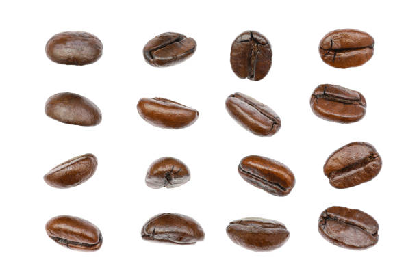 Close-up, the texture of freshly roasted coffee beans, single grain, isolated on a white background.