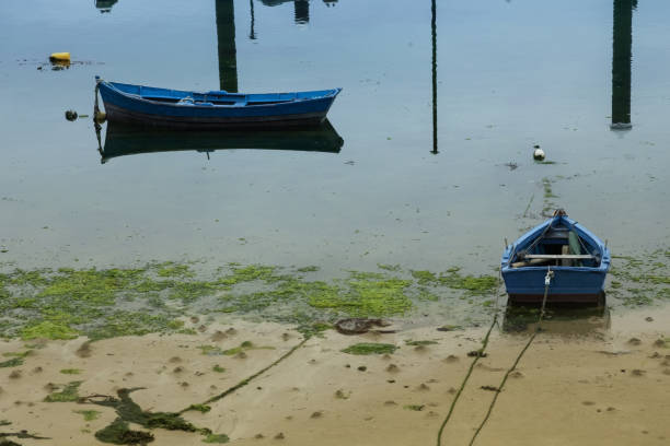 istock Boats at low tide 1393154889