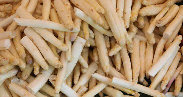 istock background of white asparagus just picked and ready to be cooked 1393156366