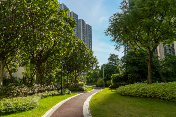istock Environment of large residential area 1393158437
