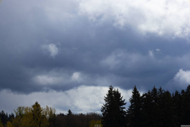 Rain filled clouds looming over trees on lovely spring day.