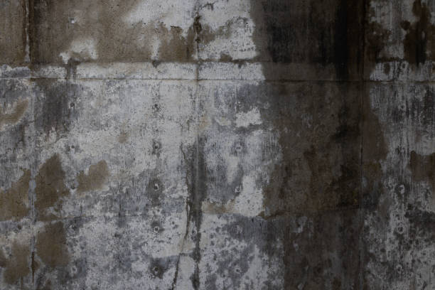 istock Gorgeous Wet Cement Texture on Wall Showing Rich Details 1393160494