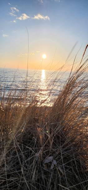 istock Lookout to the horizon dune grass 1393161929