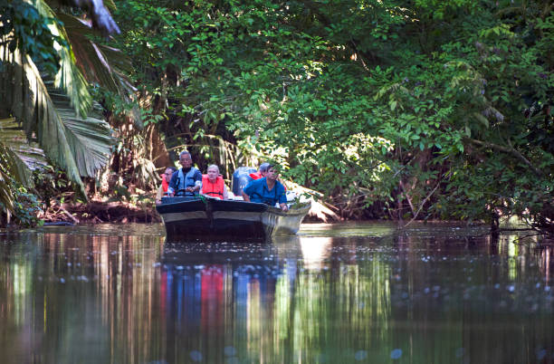 Tourboat on Tortuguero River canal, Costa Rica Wildlife Tourboat with tourists on Tortuguero River canal, Costa Rica. Costa Rica is the central American country north of Panama that is renowned for its tropical birdlife, exotic wildlife and adventure pursuits such as whitewater rafting, parasailing and ziplining tortuguero national park stock pictures, royalty-free photos & images