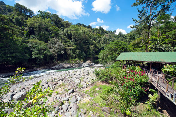 Pacuare River and lodge, Limon, Costa Rica. This tourist lodge sits on the banks of the Pacuare River, location for whitewater rafting up to category Four. Costa Rica is the central American country north of Panama that is renowned for its tropical birdlife, exotic wildlife and adventure pursuits such as whitewater rafting, parasailing and ziplining