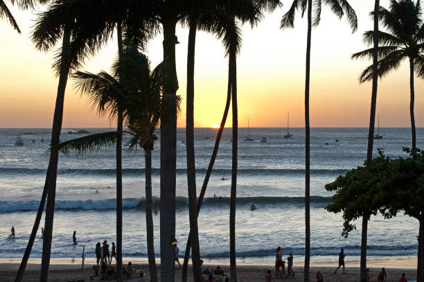 해질녘에 타마린도 해변에서 파도가 부서지고, 과나카스테, 코스타리카. - costa rica beach palm tree tree 뉴스 사진 이미지