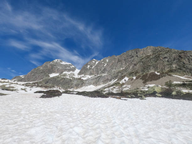 istock The Swiss Alps 1393163385