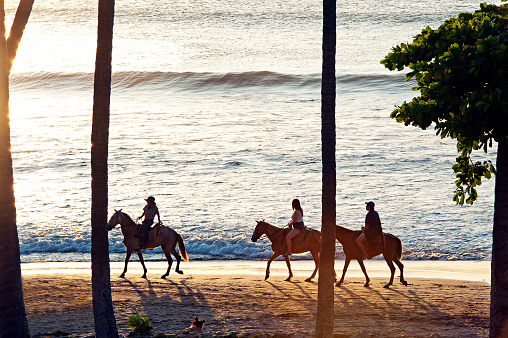 Three horses and riders in silhouette at sunset, Tamarindo Beach, Guanacaste, Costa Rica. Costa Rica is the central American country north of Panama that is renowned for its tropical birdlife, exotic wildlife and adventure pursuits such as whitewater rafting, parasailing and ziplining