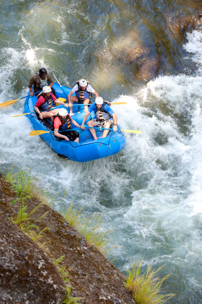 파쿠아 강, 리몬, 코스타리카에서 클래스 3 급류를 래프팅하는 하얀 물 - teamwork river rafting costa rica 뉴스 사�진 이미지