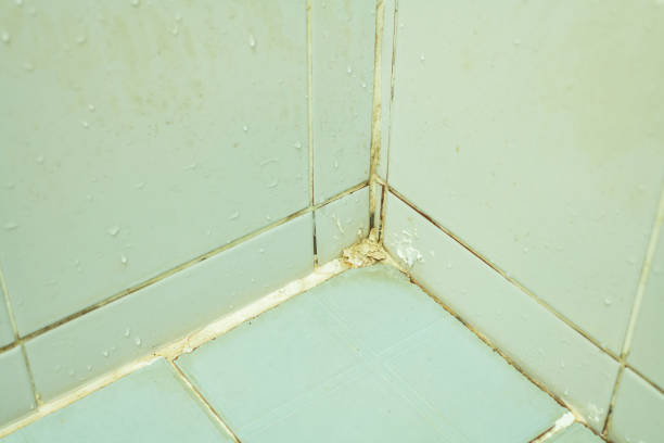 istock Closeup of texture mildewed walls 1393165165