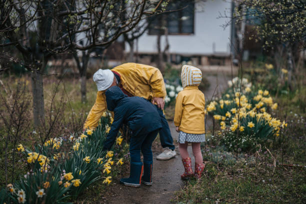 istock Grandchildren picking flowers 1393166309