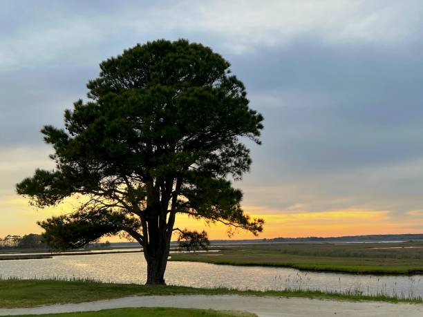 istock Newport Bay Sunset - II 1393169807