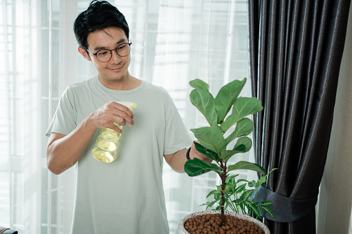 Asian man watering to plants in the living room at home