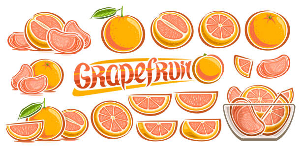 Pamplemousse Animation 180+ Pamplemousse Rose Illustrations Stock Illustrations, graphiques ...