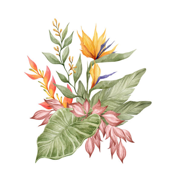 aquarell tropische bouquet - heliconia stock-grafiken, -clipart, -cartoons und -symbole