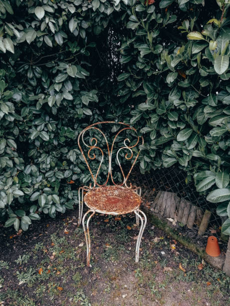 Old and rusty iron chair in backyard
