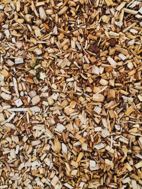 istock wood chip on garden floor 1393174896