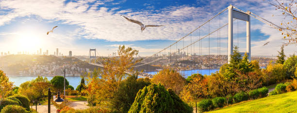 istock Beautiful panorama of Istanbul and the Second Bosphorus Bridge, Turkey 1393180141
