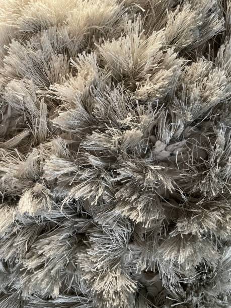 Top view of carpet textiles