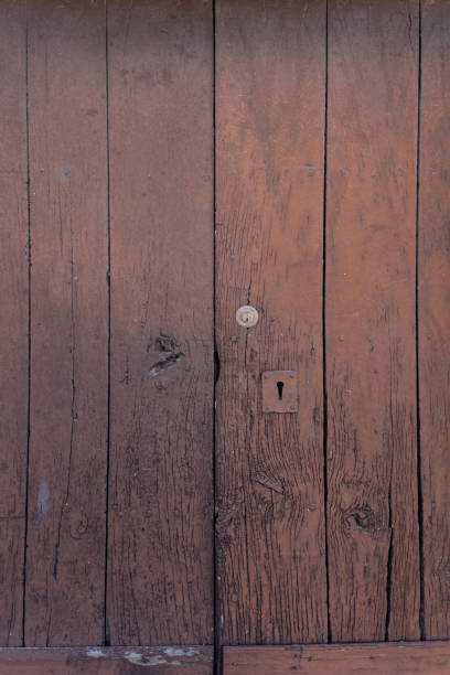 Old wooden brown door texture