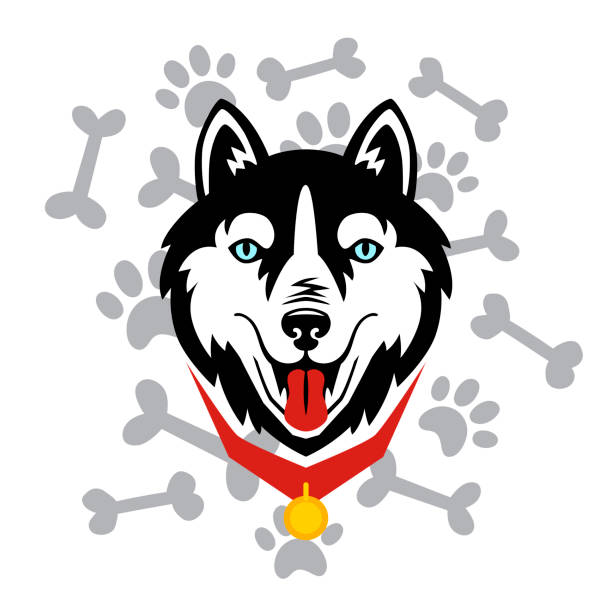 Husky head dog, bone, paw vector design. Husky head dog, bone, paw vector design. Children design malamute stock illustrations