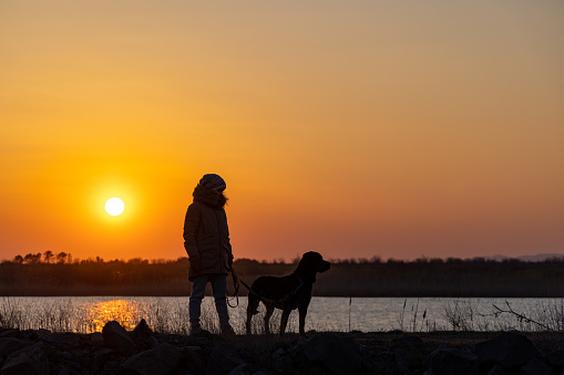 Silhouette of a little girl walking her puppy dog at orange sunset.