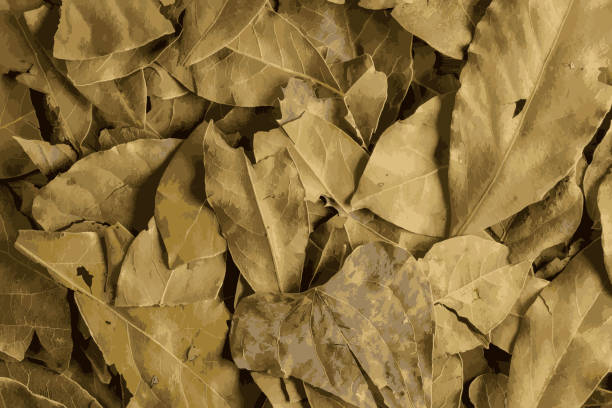 istock Realistic illustration of laurel leaves texture. Bay leaf background. Culinary herb. 1393190349