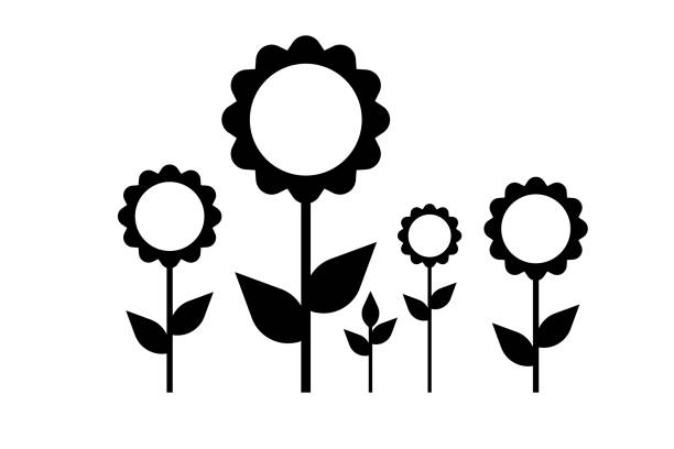 Sunflower industry Sunflower symbol. Black and white icon of sunflowers plants of different sizes. Sunflower products industry concept vector. sunflower star stock illustrations