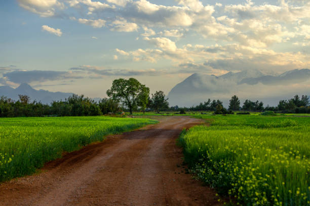 The path through their fields. Cloudy mountains and footpath road in the background